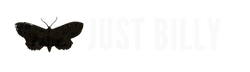 just billy branding logo with moth.